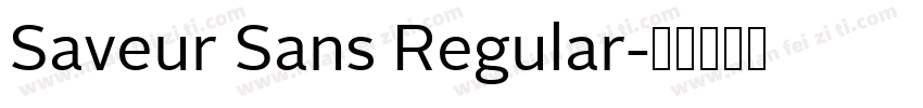 Saveur Sans Regular字体转换